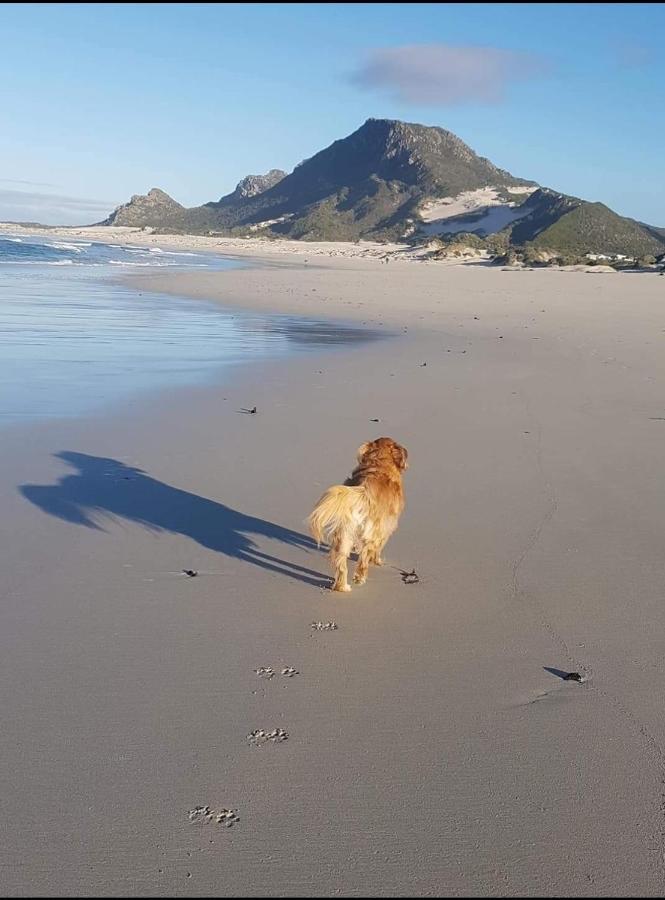 Brandys Beach House Bettyʼs Bay Zewnętrze zdjęcie