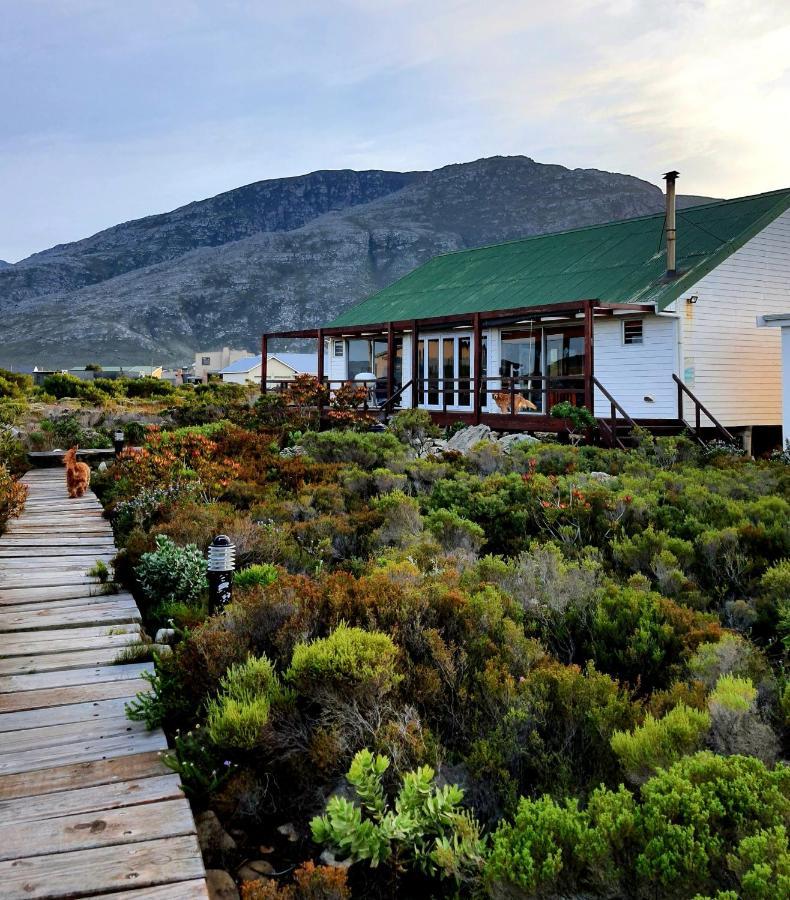 Brandys Beach House Bettyʼs Bay Zewnętrze zdjęcie