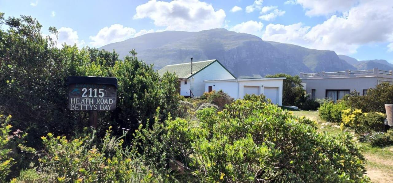 Brandys Beach House Bettyʼs Bay Zewnętrze zdjęcie