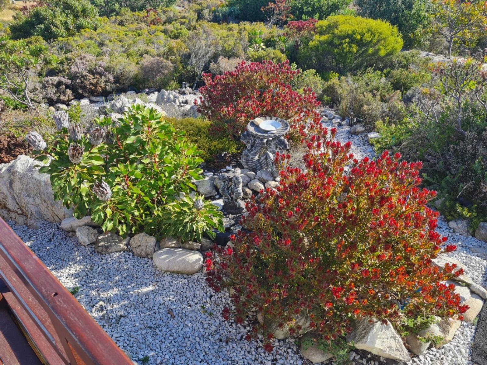 Brandys Beach House Bettyʼs Bay Zewnętrze zdjęcie